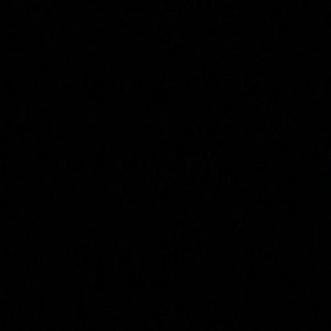 Meet your Posher, Precious